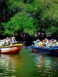 Bentota_River_boat_safari_8_daa6d31af1